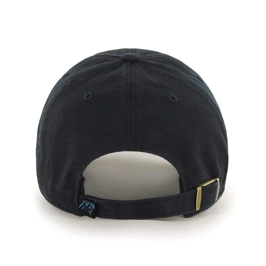 Carolina Panthers NFL Clean Up Team Cap