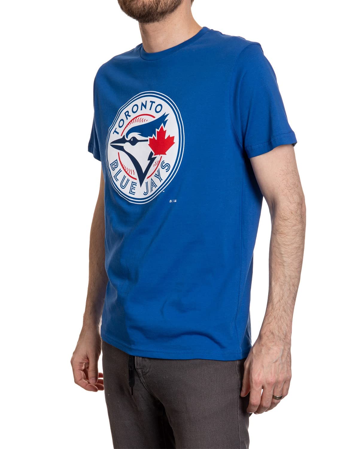 Toronto Blue Jays MLB Primary Distressed Logo Heathered T-Shirt