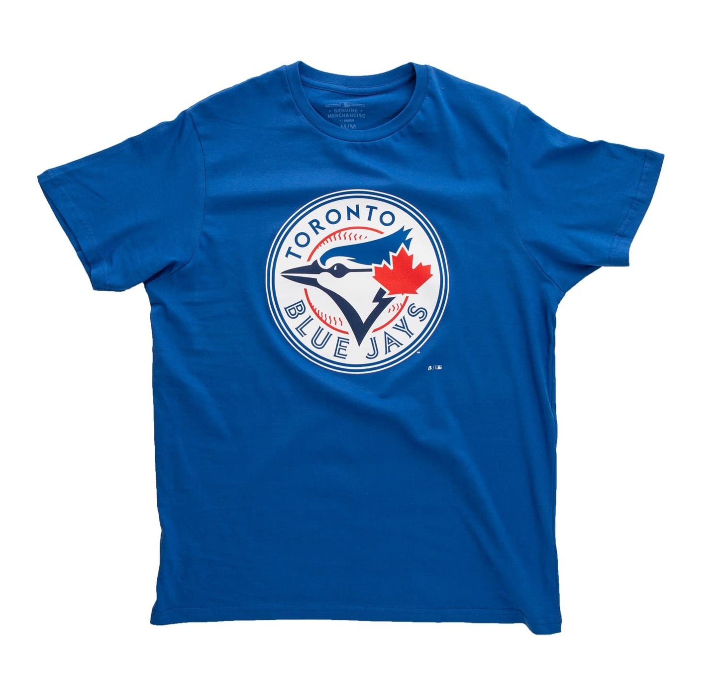 Toronto Blue Jays MLB Primary Distressed Logo Heathered T-Shirt