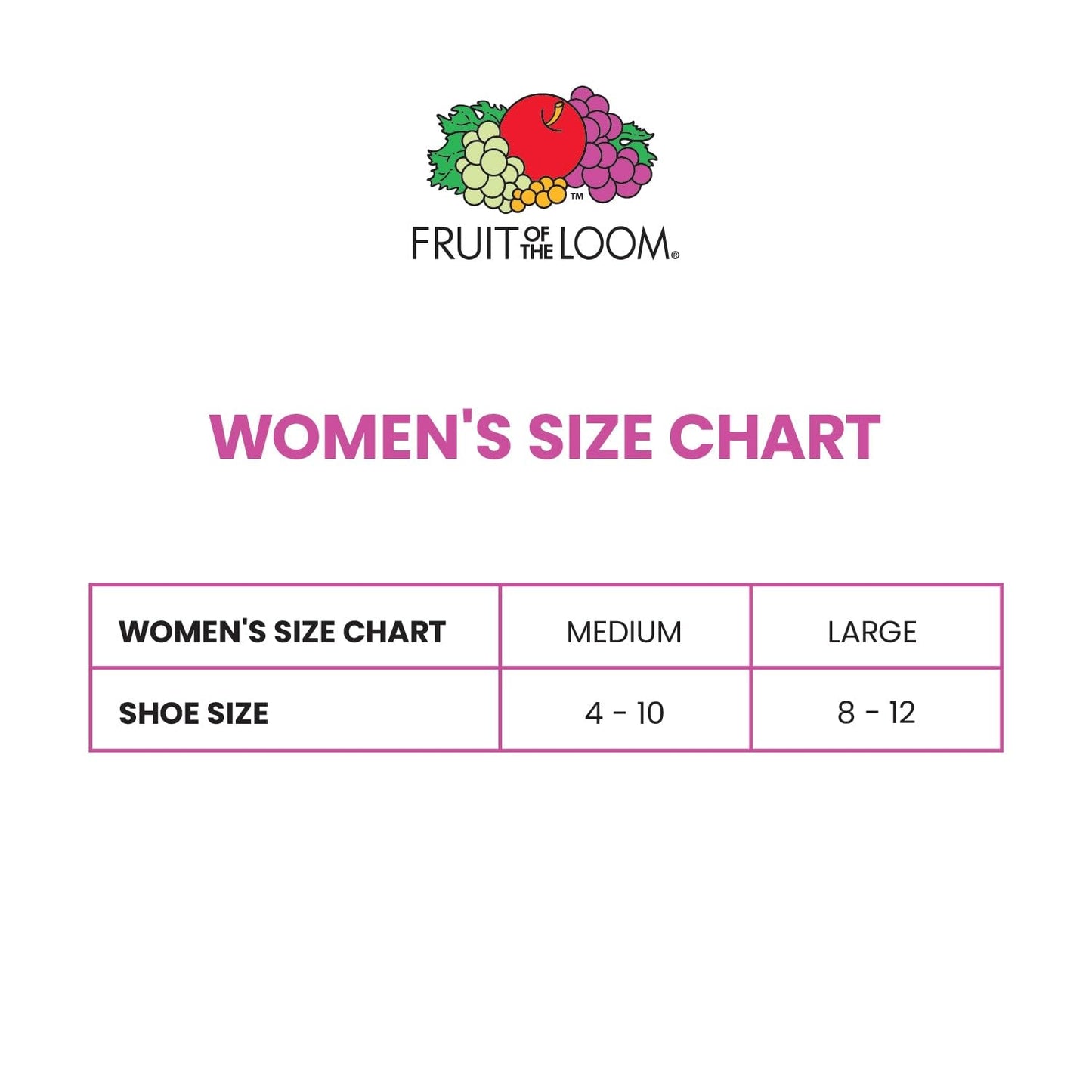 Fruit of the Loom Women's Everyday Soft Cushioned No Show Socks (Multi Pack)