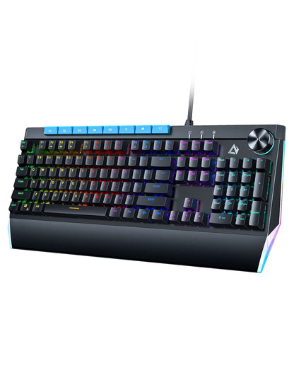 DSF Mechanical Keyboard with Rainbow Backlit & RGB LED Side Light Blue Switches 112keys Volume Control Button,RGB Lighting Programmable Macros Gaming for PC Gamer Computer Desktop (Black), KM-G17