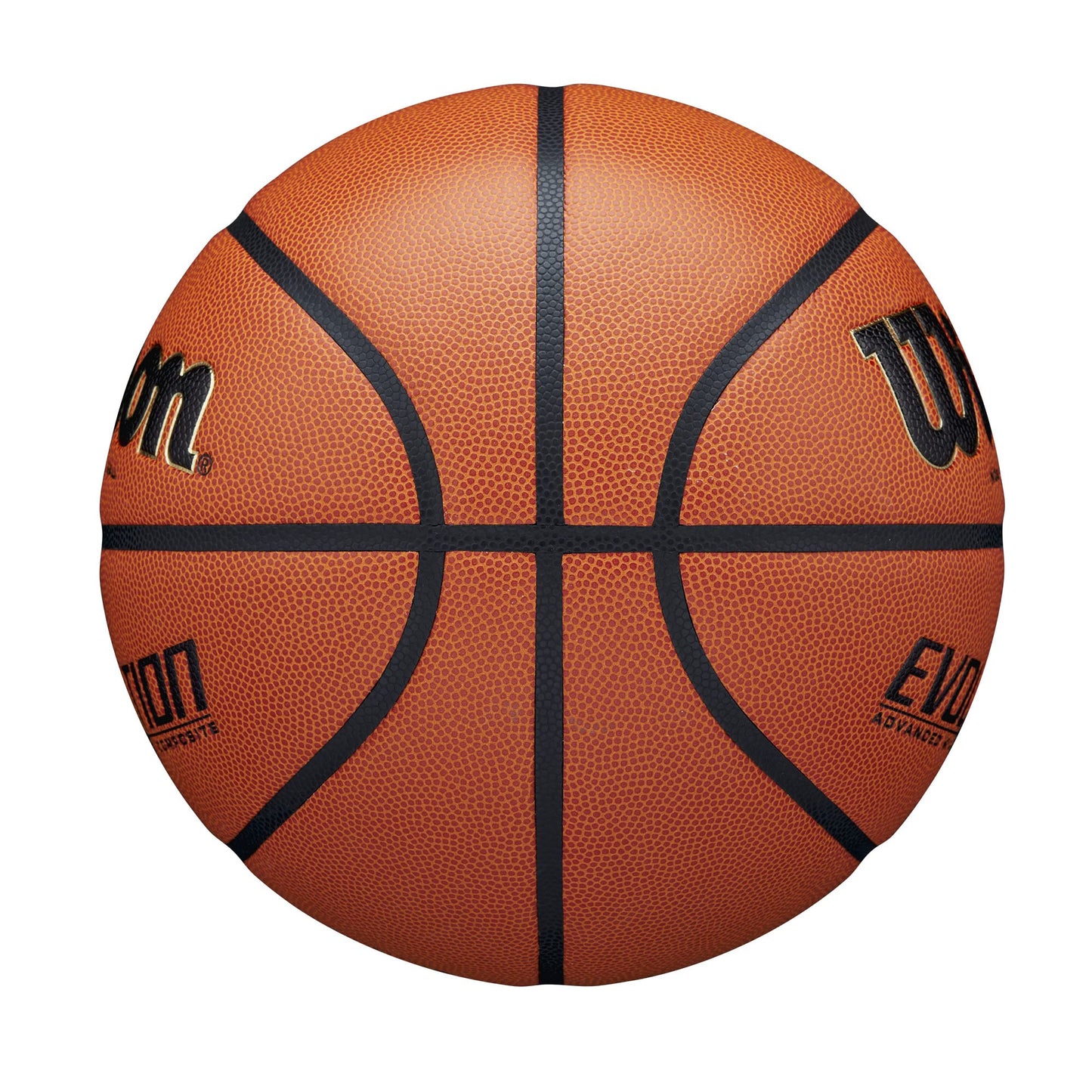 Wilson Evolution Black Edition Official Basketball