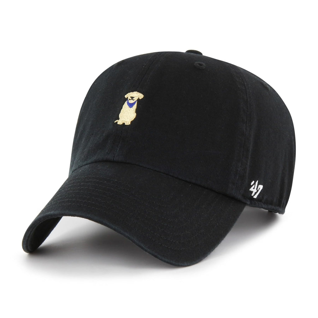 47 Yellow LAB Clean UP Adjustable Hat