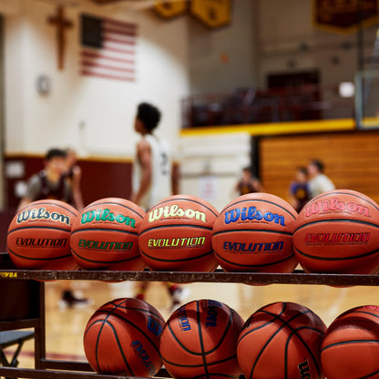 Wilson Evolution Intermediate Basketball - 28.5"