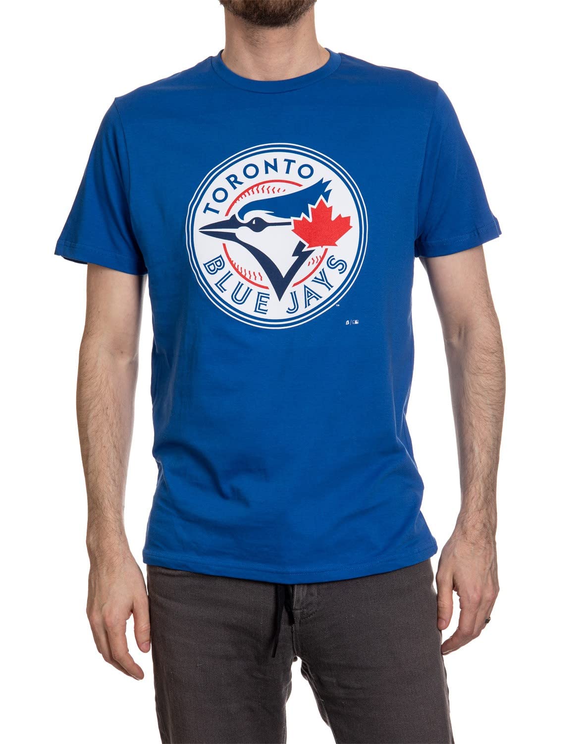 Toronto Blue Jays MLB Primary Distressed Logo Heathered T-Shirt