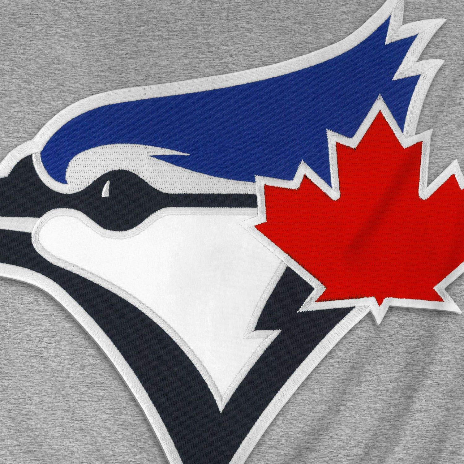Toronto Blue Jays MLB Express Twill Logo Hoodie Birdhead Logo