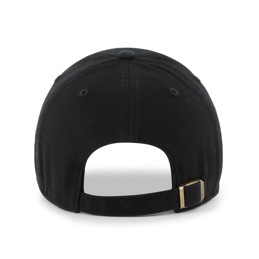 47 Yellow LAB Clean UP Adjustable Hat