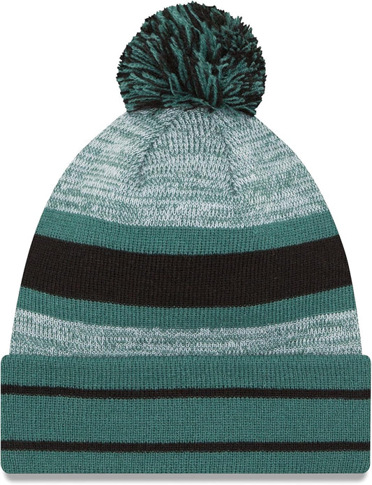 NFL Philadelphia Eagles Pom Knit Beanie, One Size, Green