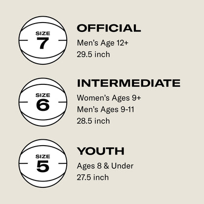 Wilson Evolution Black Edition Official Basketball