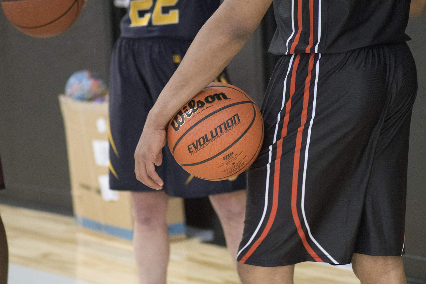 Wilson Evolution Black Edition Official Basketball