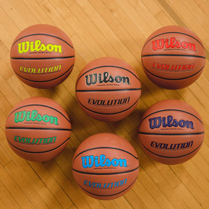 Wilson Evolution Black Edition Official Basketball